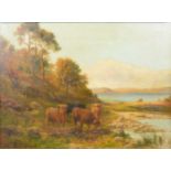 Daniel Sherrin, Landscape with highland cattle,