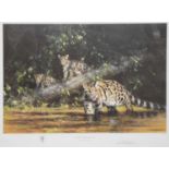 David Shepherd, Clouded Leopard and Cubs,