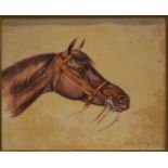 Miss Wright, Upton (study of a horse head).