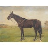 H Harris, Race horse,