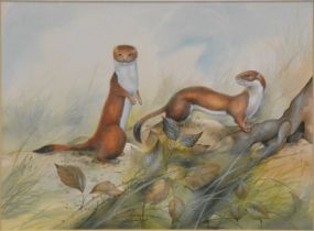 English School, Stoats, and other pictures,