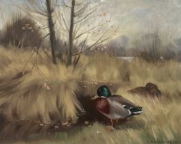 § Denys Watkins-Pitchford, Pair of Mallards.