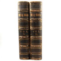 The New Illustrated Bible, J.S. Virtue & Co, in 2 vols