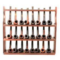 A three shelf pipe club rack with St Claude pipes.