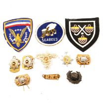 Pin badges and patches some military.