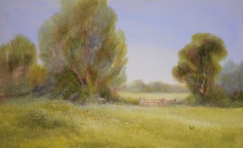 Carl Scanes, Summer meadow landscape.
