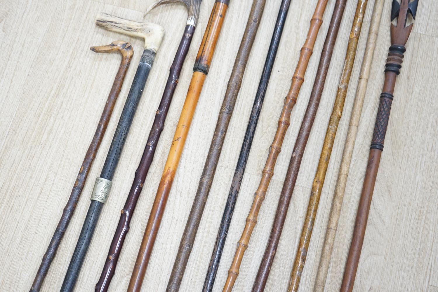 Twelve assorted walking sticks including silver mounted and staghorn handled - Image 10 of 12