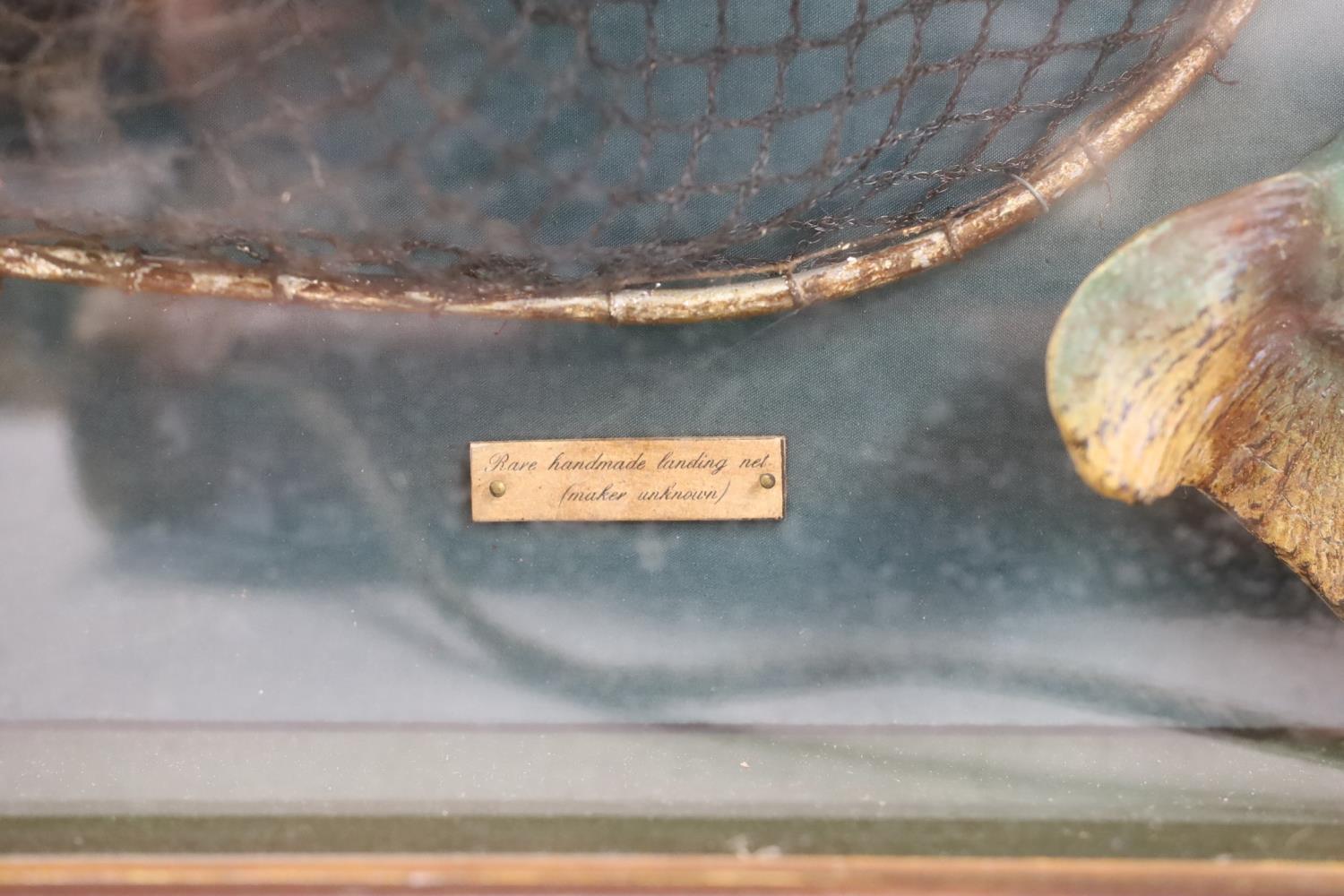 A cased fishing display case of a Rainbow Trout centred around angling ephemera, 106 x 34cm - Image 3 of 5