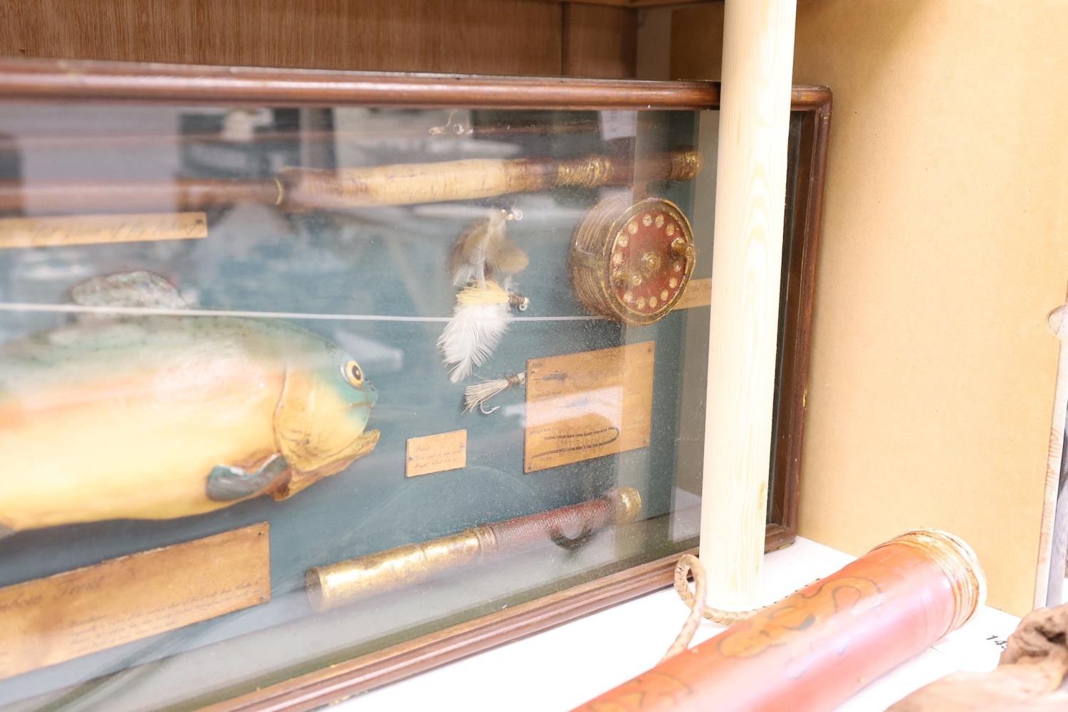 A cased fishing display case of a Rainbow Trout centred around angling ephemera, 106 x 34cm - Image 5 of 5