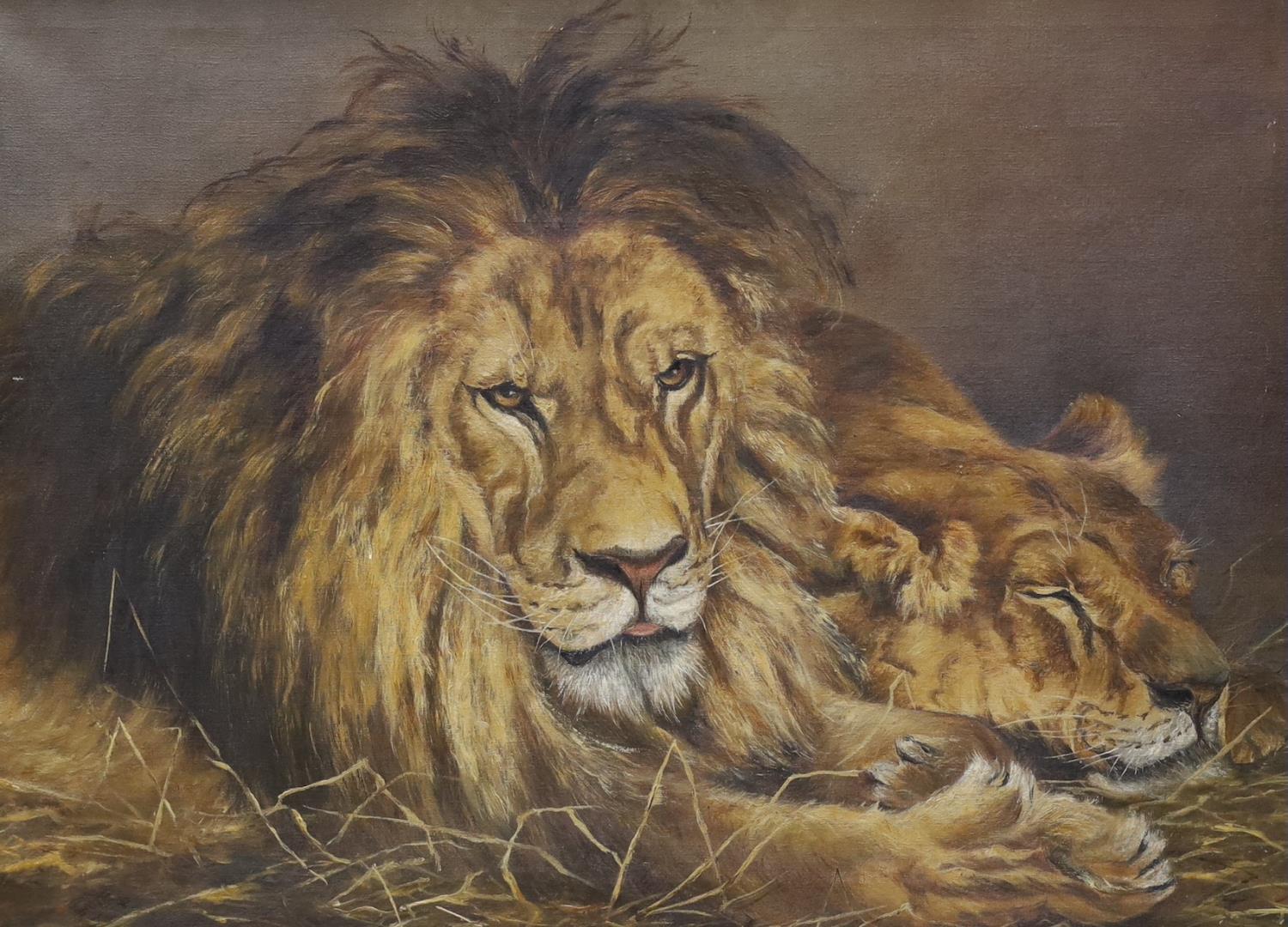 After Géza Vastagh (Hungarian, 1866-1919), oil on canvas, The lions, 48 x 65cm