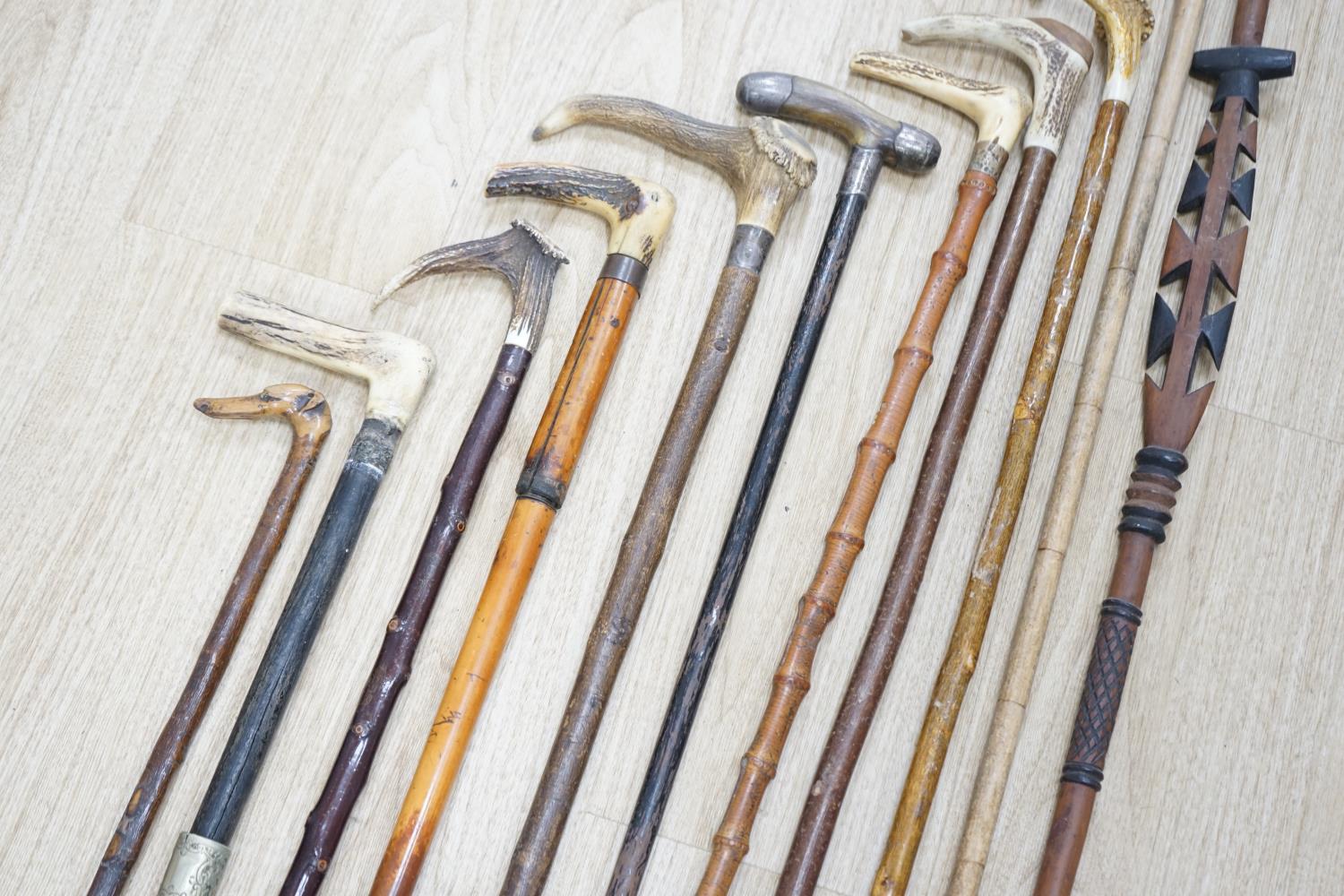 Twelve assorted walking sticks including silver mounted and staghorn handled - Image 9 of 12