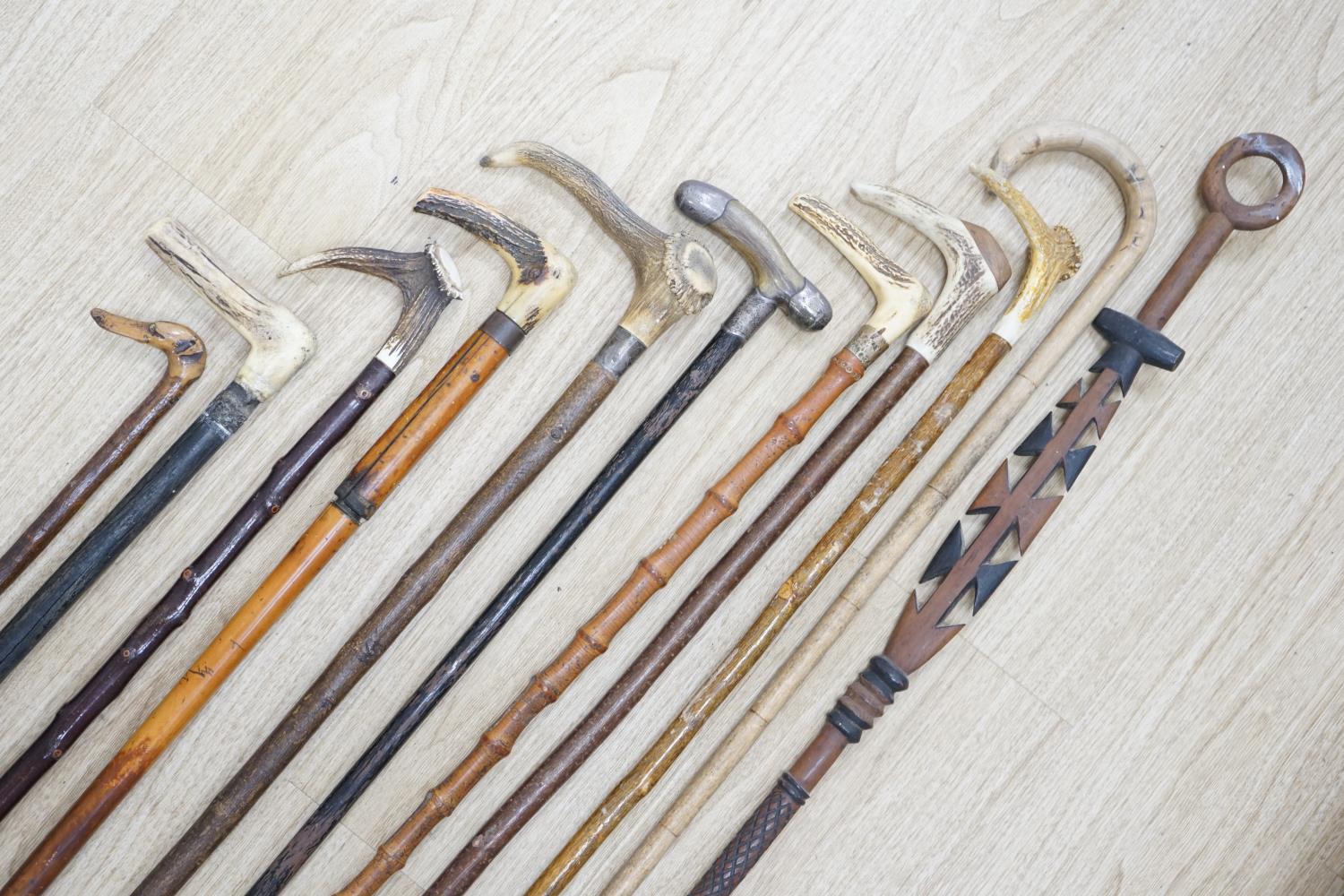 Twelve assorted walking sticks including silver mounted and staghorn handled - Image 2 of 12