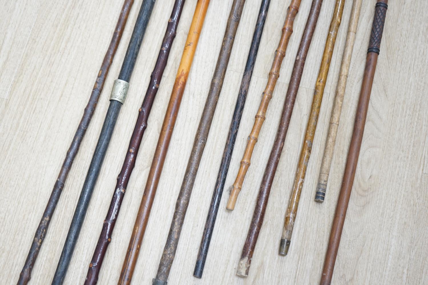 Twelve assorted walking sticks including silver mounted and staghorn handled - Image 11 of 12