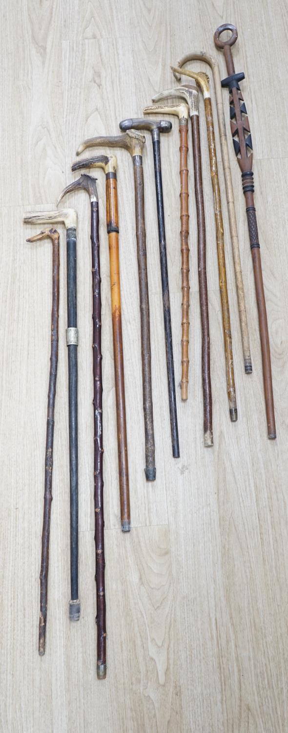 Twelve assorted walking sticks including silver mounted and staghorn handled - Image 8 of 12