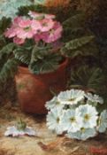 Oliver Clare (1853-1927), oil on canvas, 'Primroses', signed and dated '04, 22 x 14.5cm