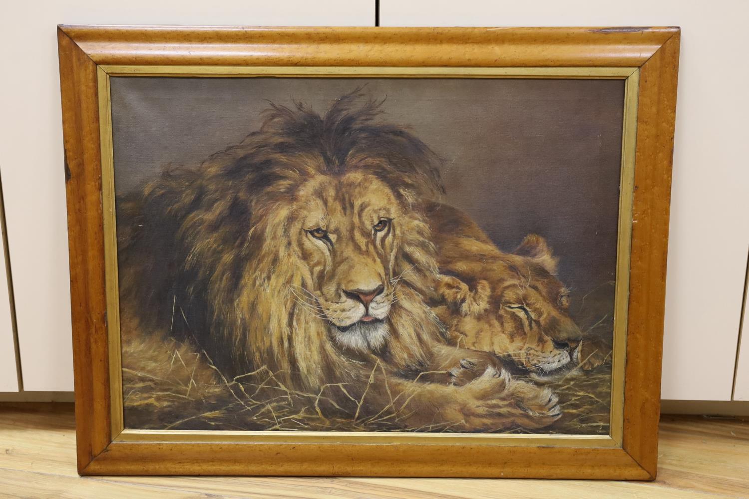 After Géza Vastagh (Hungarian, 1866-1919), oil on canvas, The lions, 48 x 65cm - Image 2 of 3