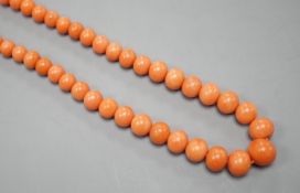 A single strand graduated coral bead necklace, 48cm, gross 29 grams.
