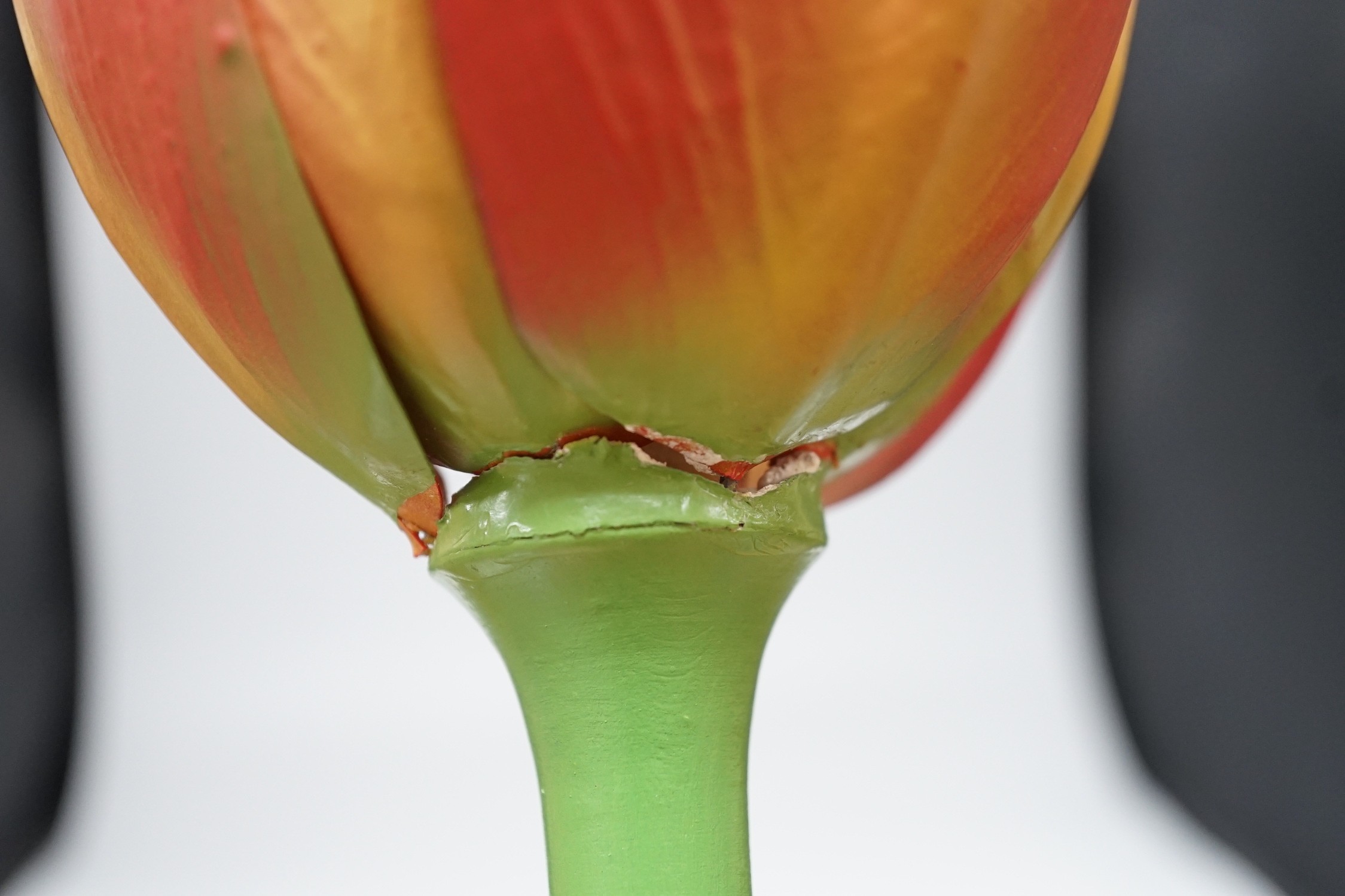 Scientific Brendel model of a tulip, 52cm - Image 6 of 7