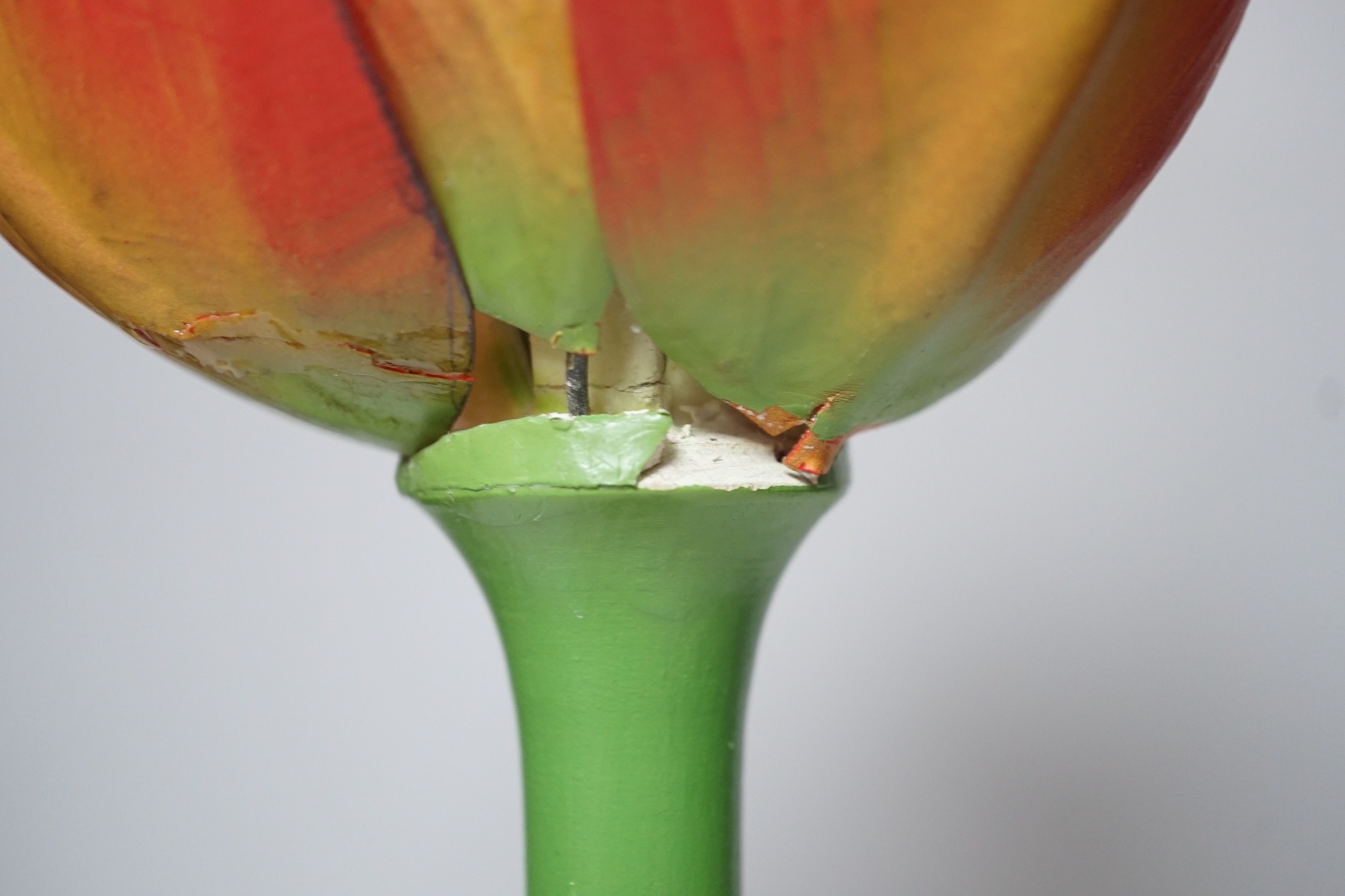 Scientific Brendel model of a tulip, 52cm - Image 4 of 7