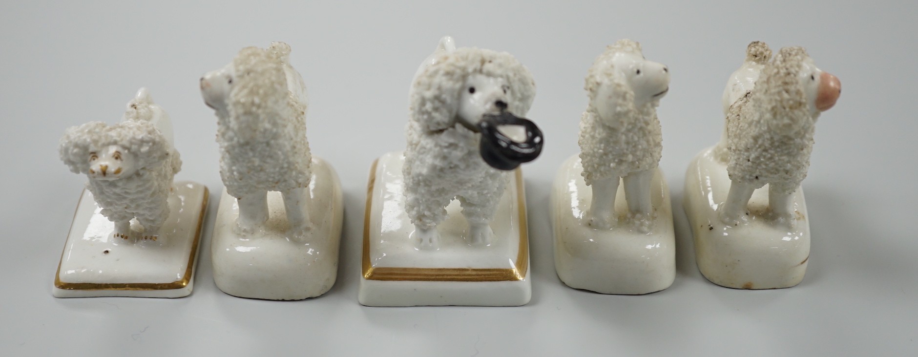 Five small Staffordshire models of poodles standing on their bases, to include a Lloyd Shelton white - Image 4 of 5