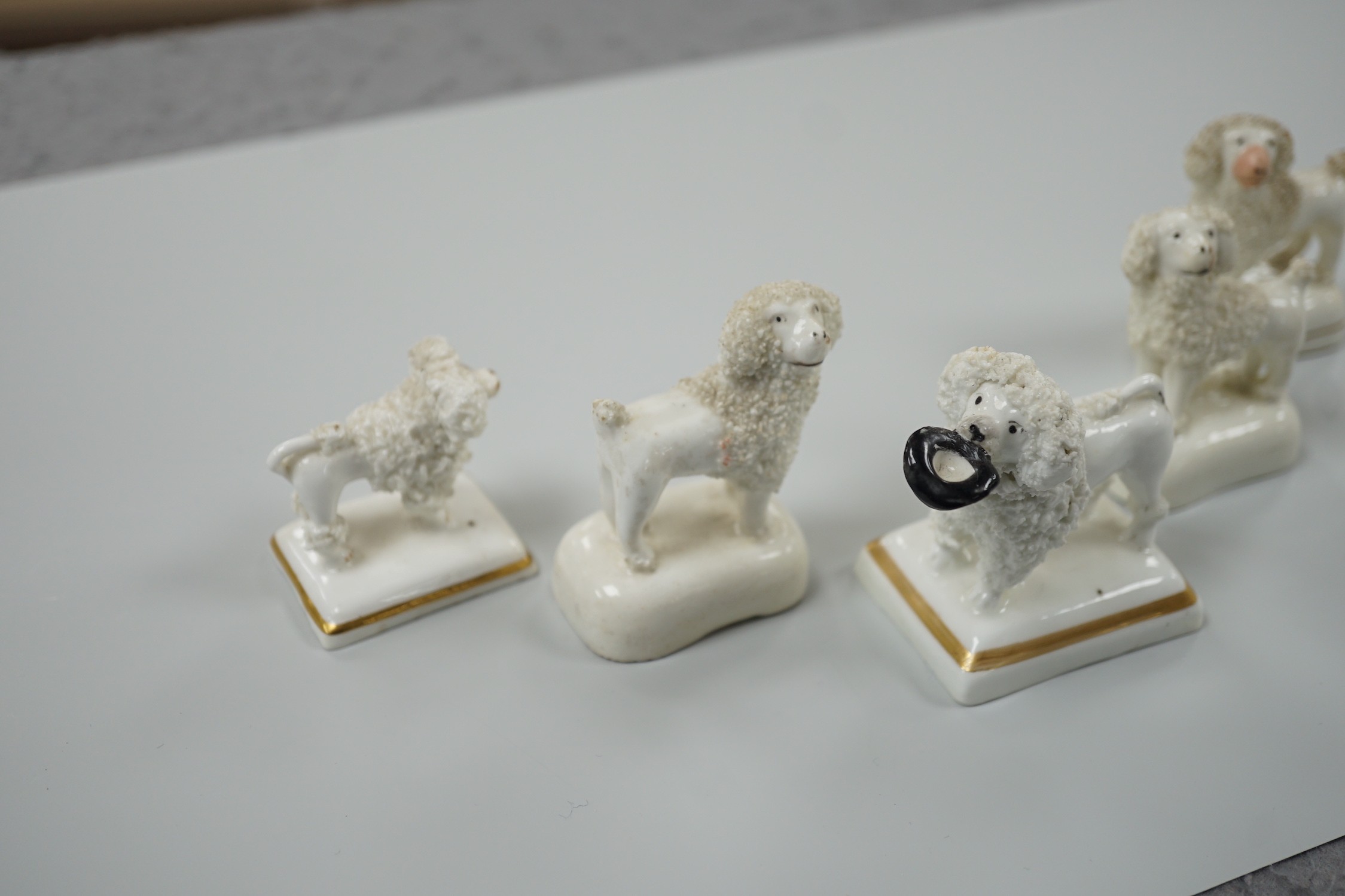 Five small Staffordshire models of poodles standing on their bases, to include a Lloyd Shelton white - Image 2 of 5