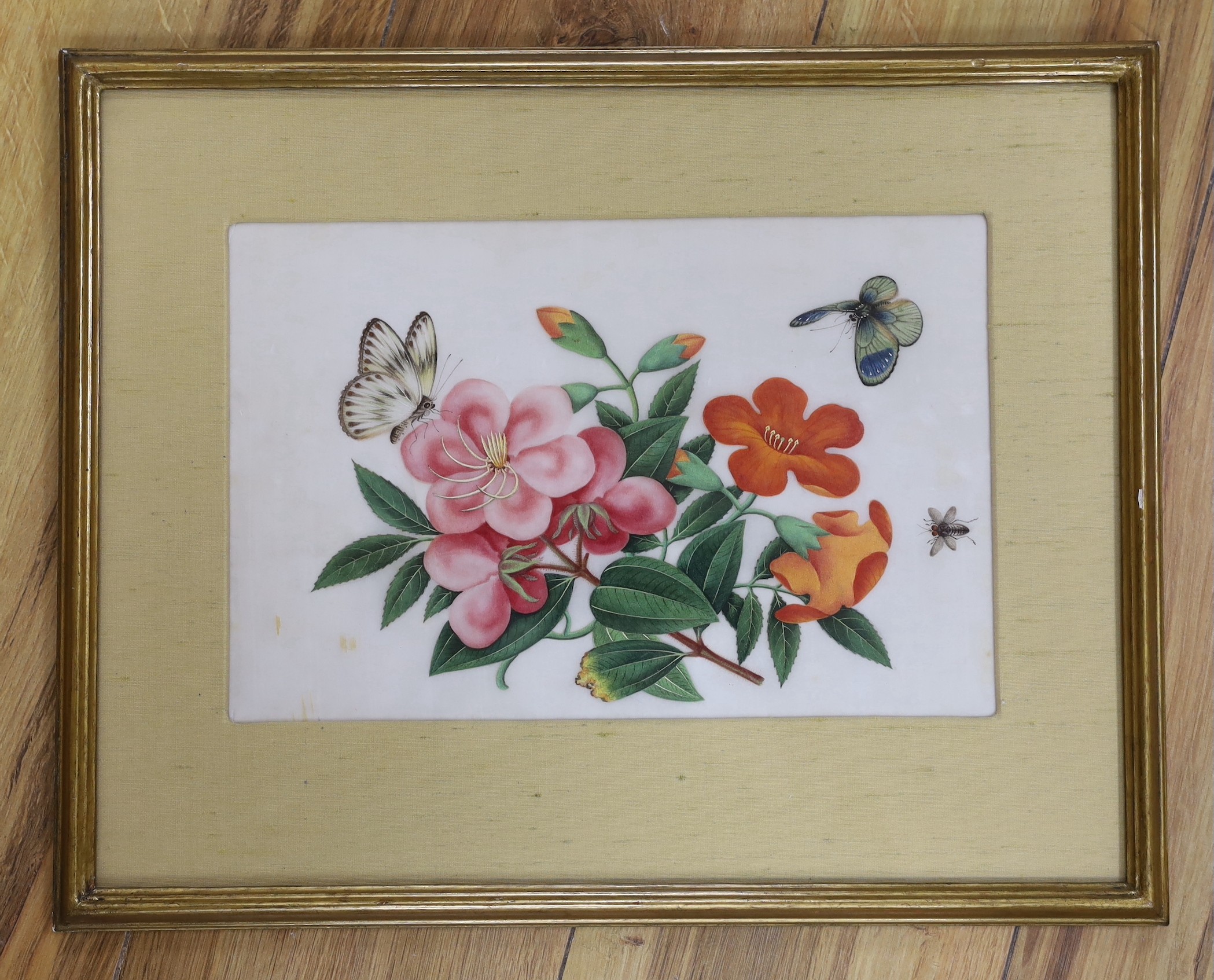 19th century Chinese School, gouache on pith paper, Butterflies and flowers, 18 x 28cm - Image 2 of 2