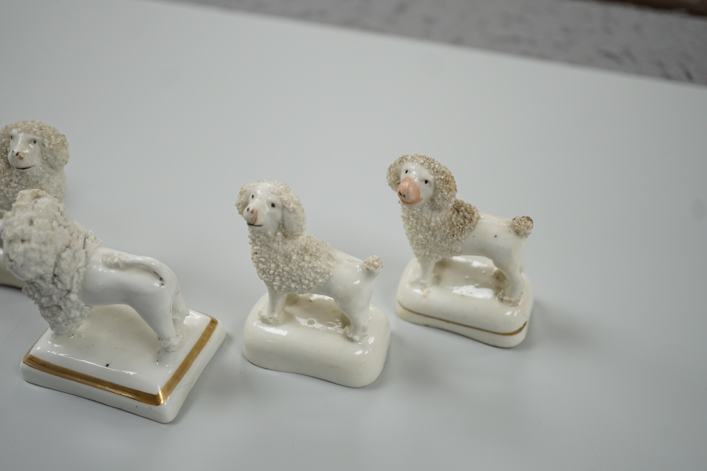 Five small Staffordshire models of poodles standing on their bases, to include a Lloyd Shelton white - Image 3 of 5