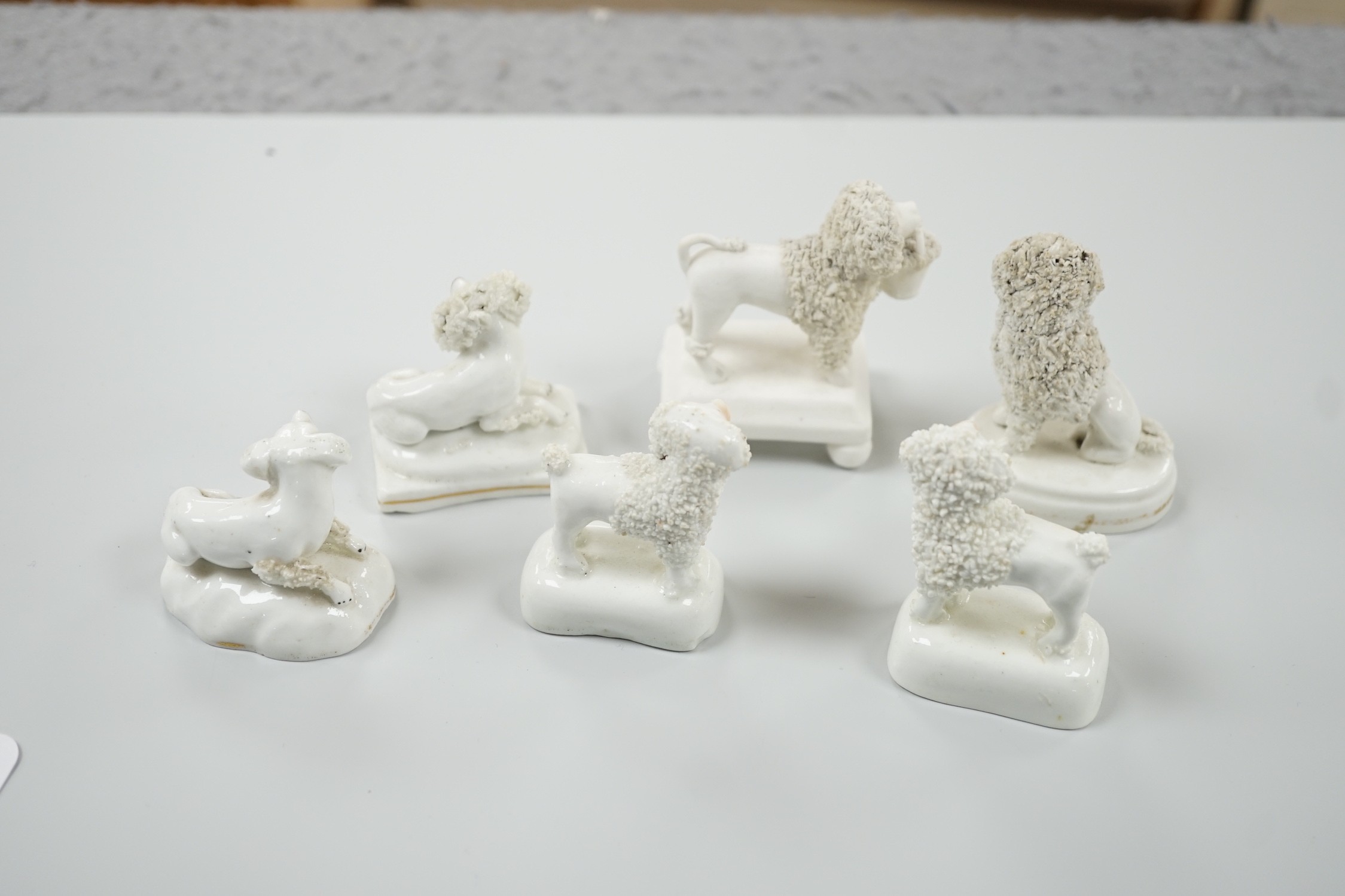 Five small Staffordshire models of poodles, together with a small poodle lying recumbent on an - Image 6 of 7