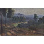 M.S. Checi, oil on wooden panel, Wooded landscape, signed, 15 x 23cm