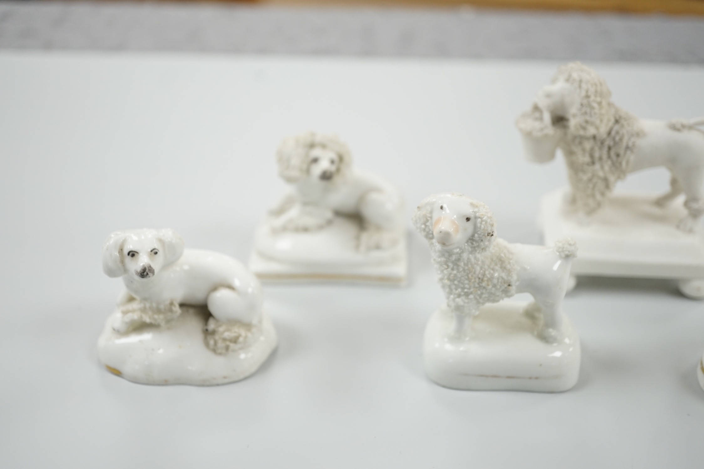 Five small Staffordshire models of poodles, together with a small poodle lying recumbent on an - Image 2 of 7