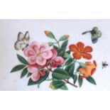 19th century Chinese School, gouache on pith paper, Butterflies and flowers, 18 x 28cm