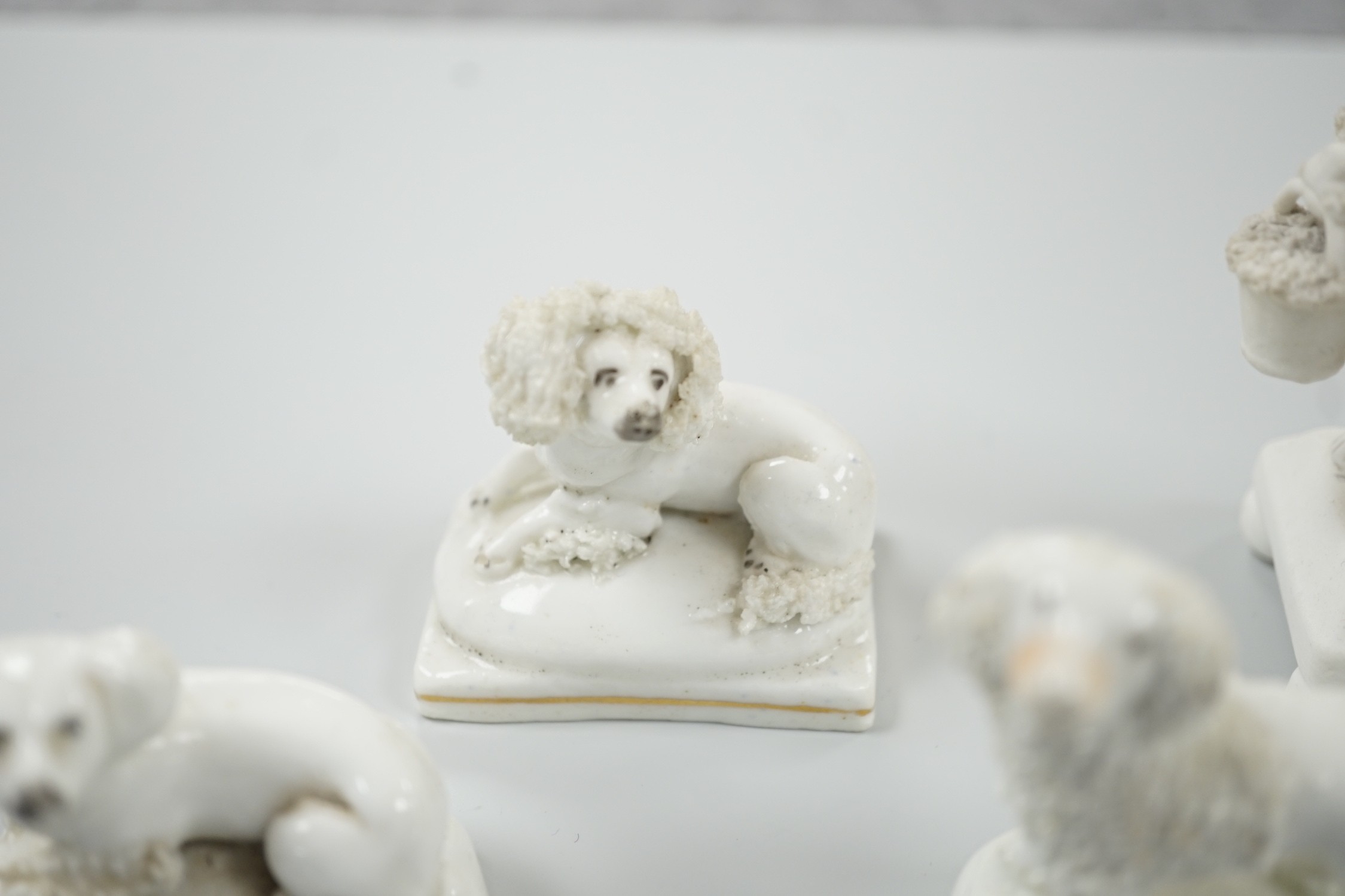 Five small Staffordshire models of poodles, together with a small poodle lying recumbent on an - Image 3 of 7