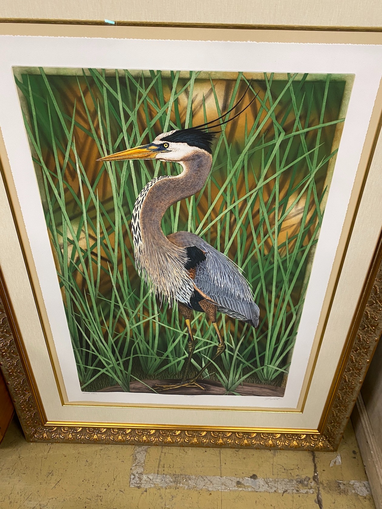 A Costin graphics coloured print of a heron, signed and numbered, width 113cm, height 148cm, - Image 2 of 2