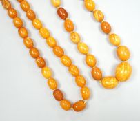 Two single strand graduated oval amber bead necklaces, one a.f., longest 43cm, gross weight 38