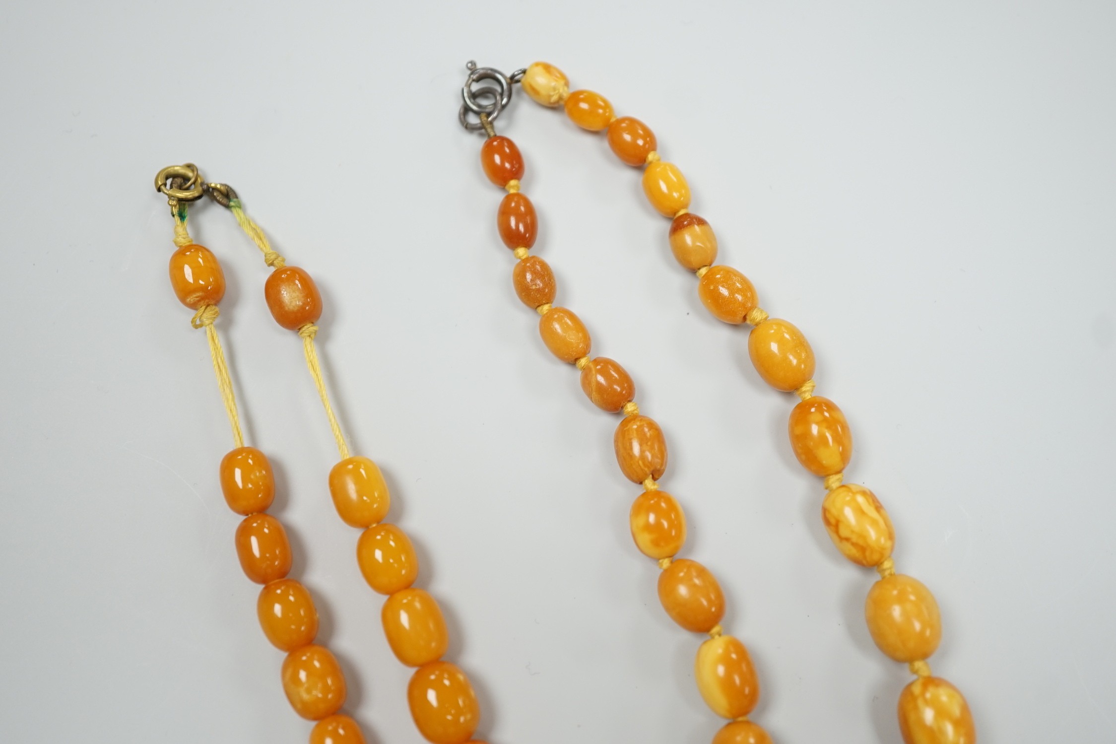 Two single strand graduated oval amber bead necklaces, one a.f., longest 43cm, gross weight 38 - Image 4 of 5