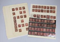 A large collection of Penny Red stamps