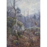 Ralph William Bardill (1876-1935), watercolour, 'A Wood in the Llugwy Valley', signed, 32 x 23cm