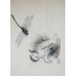 H. Dimmock, pen and ink, Duckling startled by a dragonfly, signed and dated 1990, 16 x 22cm