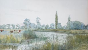 Robert Winchester Fraser (1848-1906), watercolour, Cattle beside a river, signed, 14 x 25cm