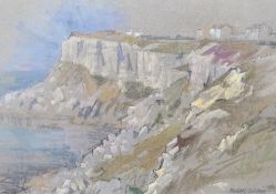 Michael Cadman (1920-2010), pastel, Coastal cliffs, signed and dated 1982, 30 x 43cm