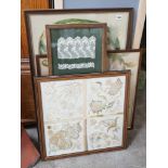Eight framed embroideries / lace panels including a sampler