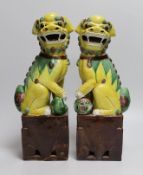 A pair of tall Chinese sancai glazed Buddhist lions, Republic, 36cms high