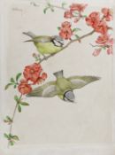 Noel Hopking c.1942, watercolour, 'Blue tits on Japonica', 27 x 19cm