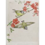 Noel Hopking c.1942, watercolour, 'Blue tits on Japonica', 27 x 19cm