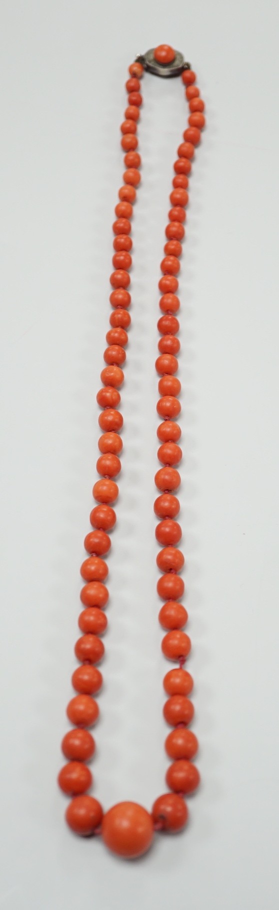 A single strand graduated coral bead necklace, 56cm, gross weight 42 grams. - Image 2 of 4