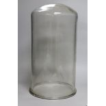 A glass display dome / bell jar. 45cm high