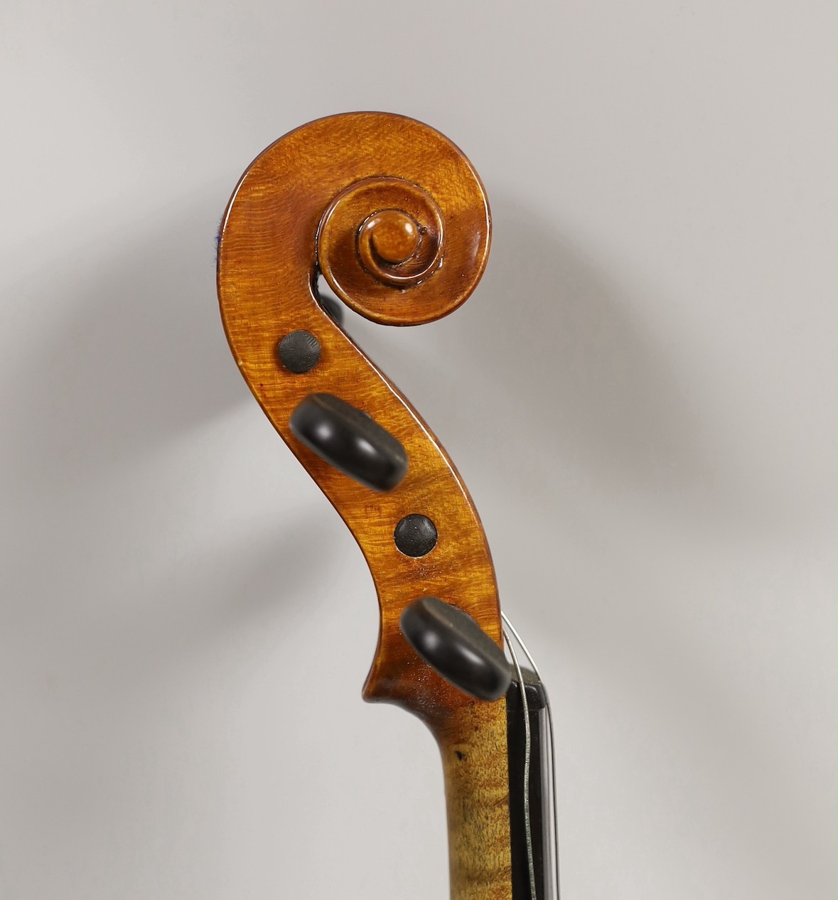 A violin, labelled Luigi Salsedo, with two bows, in case - Image 7 of 14