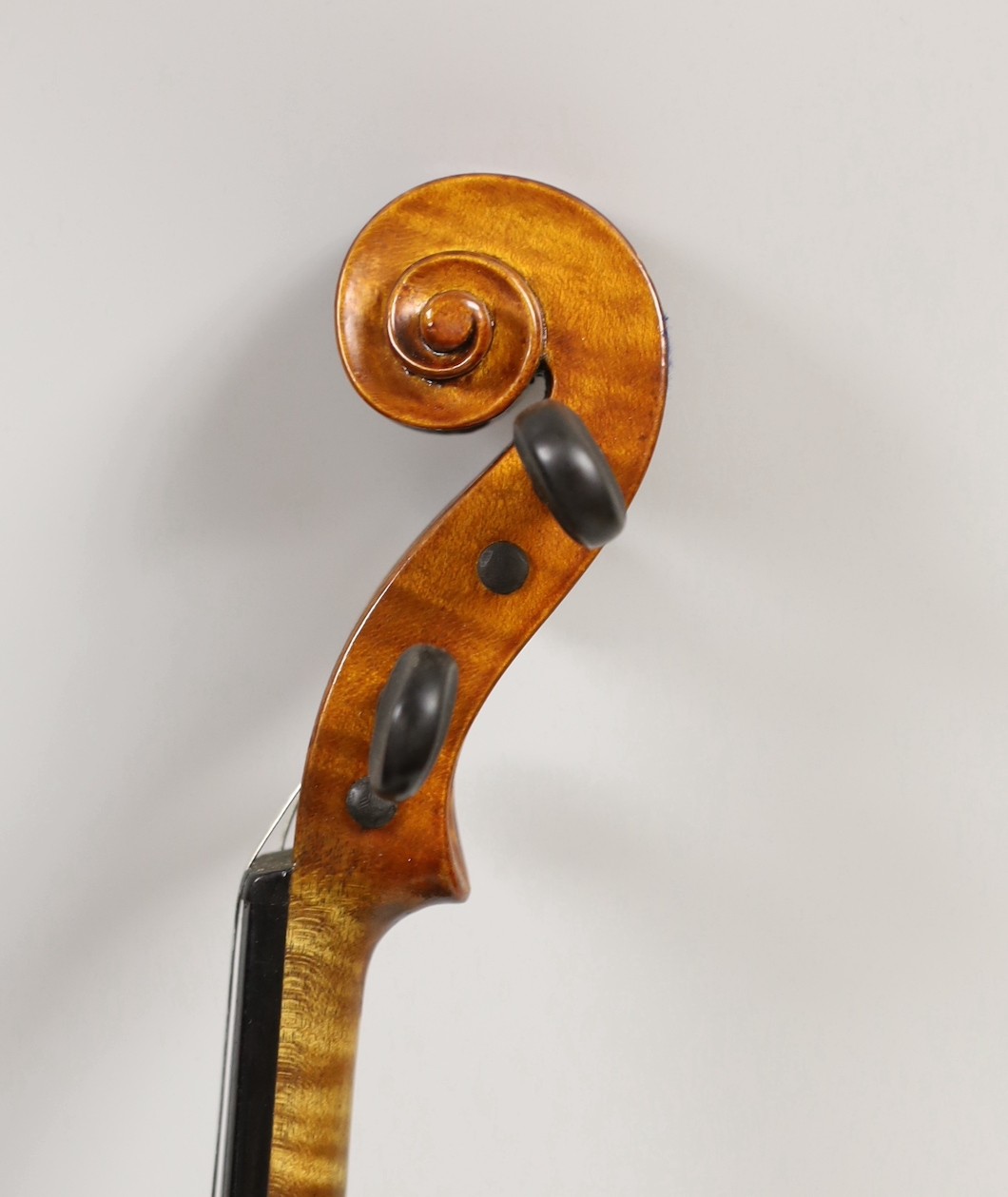 A violin, labelled Luigi Salsedo, with two bows, in case - Image 5 of 14