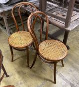 A pair of Bentwood Thonet style cane seated chairs