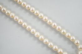A single strand cultured pearl necklace, with cultured pearl cluster set 9ct gold clasp, 42cm.